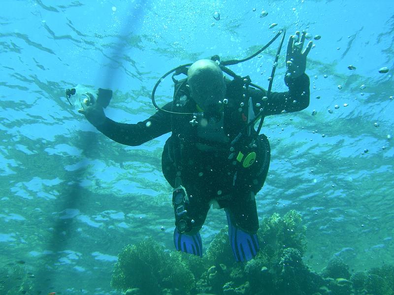 SAFAGA 07  2008 119.jpg